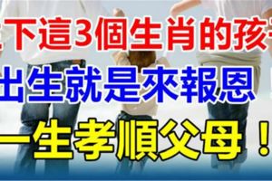 生下這3個生肖的孩子，出生就福緣深厚，有孝心是來報恩的！很孝順父母！