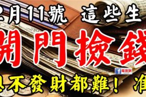 12月11號後，這六個生肖開門撿錢，想不發財都難！