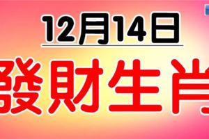 12月14日易發財的6個生肖！但願有你！