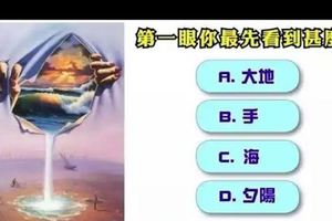 測試：讓你的ta來選擇看到了什麼？測ta會偷看你手機嗎？超准