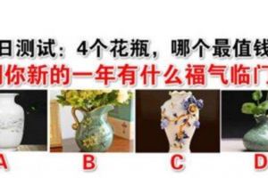 測試：4個花瓶，哪個最值錢？測你新的一年有什麼福氣臨門？