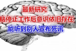 最新研究：大腦停止工作後意識依舊存在，能聽到別人宣布死訊