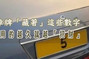 誰的車牌裡「藏著」這些數字，用的越久就越招財！