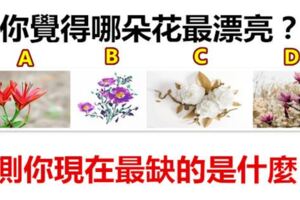 你覺得哪朵花最漂亮？測你現在最缺的是什麼