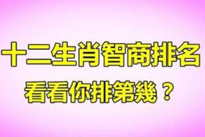 十二生肖智商排行榜！哪個生肖最聰明？看看你是第幾名呢？