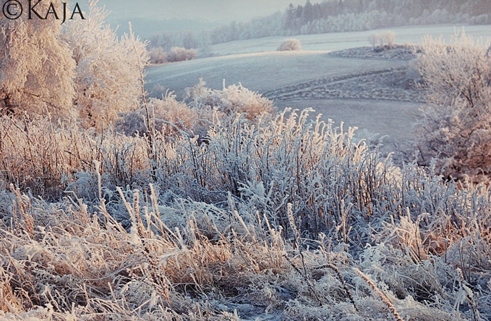 Mr Luczywo has been taking photos since 2011, but says that his experience with Kaja has breathed new life into how he approaches the art. Pictured, Kaja's take on the same landscape 