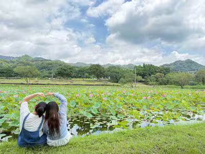 新北秘境「山佳荷花池」美到8月 順遊沐心池超忘憂 新北秘境「山佳荷花池」美到8月 順遊沐心池超忘憂
