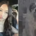 17歲少女「被16隻狗包圍撕咬」縫500針　哭問：媽媽，我還漂亮嗎？