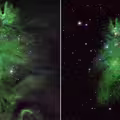 宇宙驚現「聖誕樹」！NASA曬絕美「聖誕樹星團」天文迷瘋傳