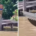 男子在碼頭跳水　抬頭換氣快艇直接輾過