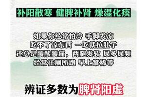 附子理中丸 三種巧搭配 一招教你改善脾胃