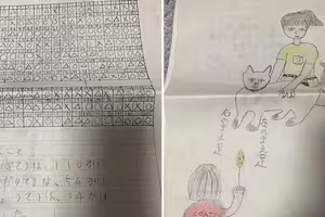 貓有分左右撇子？小學生「研究200次」實驗結果曝