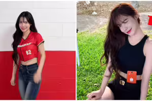 李多慧徵才！並肩工作「補助6萬元」　網看超香福利暴動