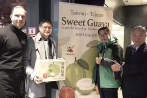 「這國」最愛吃台灣芭樂!1年狂買1.5億 外銷占比逾7成 「這國」最愛吃台灣芭樂!1年狂買1.5億 外銷占比逾7成