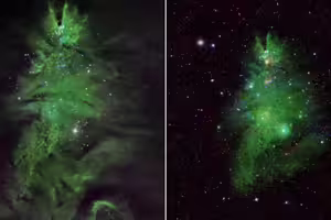 宇宙驚現「聖誕樹」!NASA曬絕美「聖誕樹星團」天文迷瘋傳 宇宙驚現「聖誕樹」!NASA曬絕美「聖誕樹星團」天文迷瘋傳