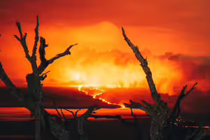 物理學家60年前預言「2026年為世界末日」:人類恐被擠死 物理學家60年前預言「2026年為世界末日」:人類恐被擠死