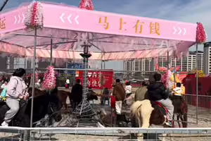 中國驚現「旋轉真馬」　網全怒！景區回應了