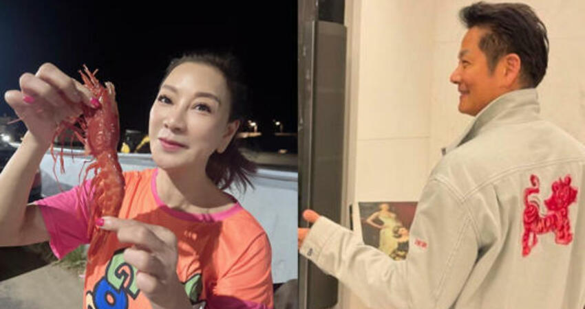 楊繡惠被酸「咬人」6字冷回徐乃麟！ 網友狠虧「活該被人罵」她不忍回嗆了