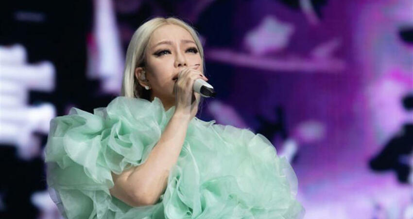 張惠妹跨年免費看！粉絲抓緊時間卡位 15分鐘一起倒數迎接2025
