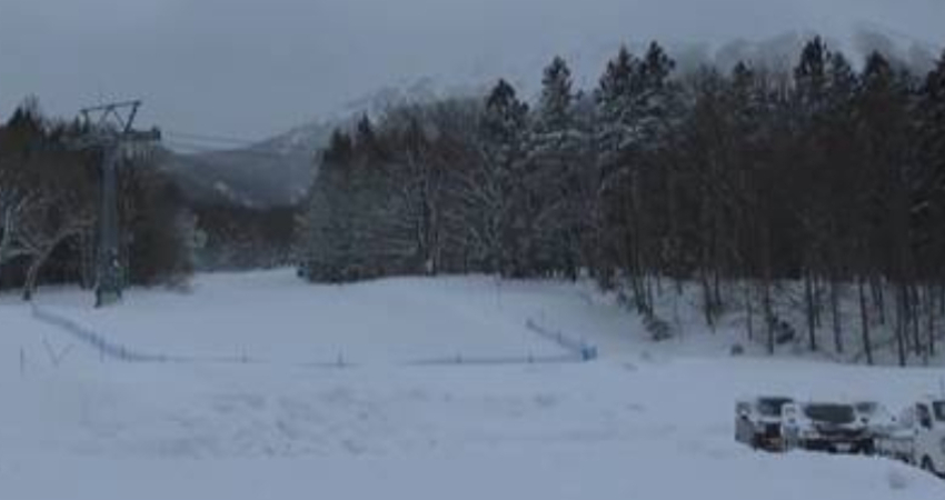 日滑雪場「驚傳雪崩」！13人一度被活埋