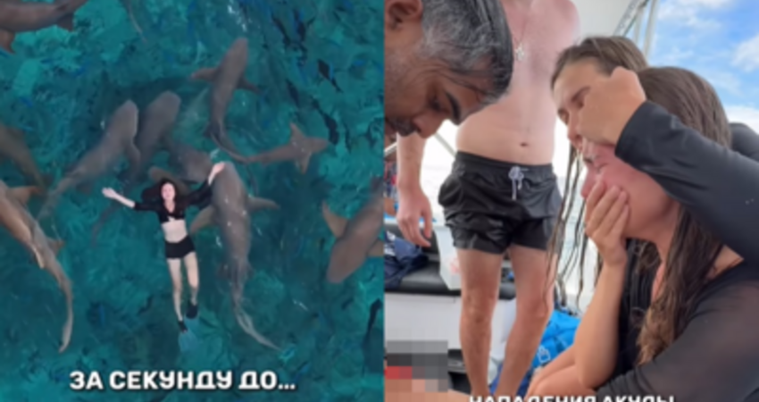 和危險鯊魚群浮潛拍人生美照 女網紅慘被攻擊「鮮血狂流」崩潰