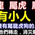 你家裡有屬龍虎狗的人嗎？請轉告他們，未來5天有小人！