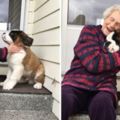 93歲老奶奶的老伴逝世後她就獨居，直到一隻大狗突然來等門…她每一天都被治癒到不要不要的！