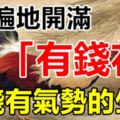 7月遍地開滿「有錢花」，有錢有氣勢的三大生肖！