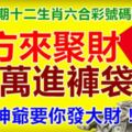 第十四期十二生肖六合彩號碼組合。八方來聚財，百萬進褲袋！財神爺要你發大財！