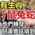 家裡有生肖「鼠兔蛇豬」的，今天為他們轉發，好運會延續到年底！