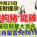 今天9月23日，每天旺財提示：兔虎狗豬，龍雞牛馬。催旺財星大吉兆！八大生肖留言923818必轉！