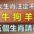 這5大生肖註定不平凡，生肖龍，生肖牛，生肖狗，生肖羊，生肖兔…這五個生肖請看!!!