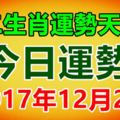 十二生肖運勢天天看，今日運勢：12月2日