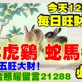 今天12月2日,每日旺財提示：兔羊虎雞，蛇馬牛龍。農曆十五旺大財！財運六合照耀留言21288必轉！