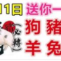 1月11日生肖運勢_狗、豬、蛇大吉