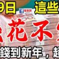 2月9日，這些生肖翻身大轉運，數錢到明年，錢註定花不完！