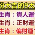 3月份大吉：9大生肖，貴人運98%，正財運99%，偏財運100%！