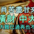 4生肖苦盡甘來，發橫財，中大獎，人生大難已過，再也不吃苦！