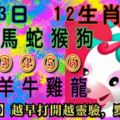 【12生肖運勢】6月23日星期六