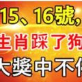 7月14、15、16號，6大生肖踩了「狗屎運」，大獎中不停，橫財大賺800萬！