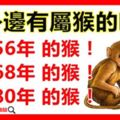 你身邊有屬猴人嗎？1956年，1968年，1980年的生肖猴，請為他轉走