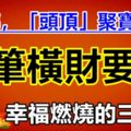 8月底，「頭頂」聚寶盆，一筆橫財要發，幸福燃燒的3生肖