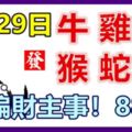 8月29日生肖運勢_牛、雞、龍大吉