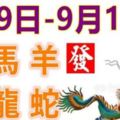 12生肖一周運勢（99—916）