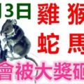 10月3日生肖運勢_雞、猴、鼠大吉