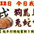 10月12日，今日我最旺！狗鼠馬豬兔蛇牛龍！【12888】越早打開越靈驗！點個讚吧！