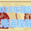 2018年屬鼠11月運程解析