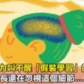 單純的努力叫不醒「假裝學習」的孩子，90%的家長還在忽視這個細節……