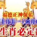 福德正神保佑農曆十月十一（11月18日）8大生肖必定翻身，趕快看看有沒有你？