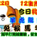 2018年11月22日，星期四農歷十月十五（戊戌年癸亥月戊午日）